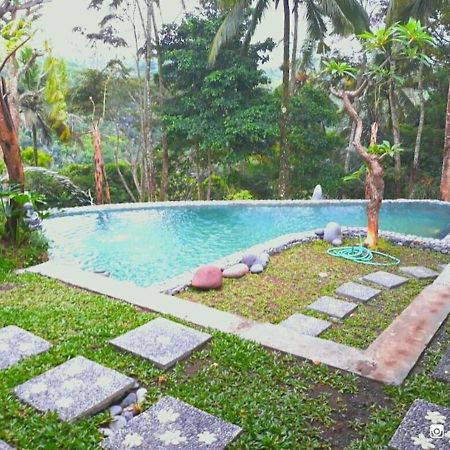 Amara Giri I Villa Ubud Eksteriør billede