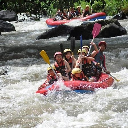 Amara Giri I Villa Ubud Eksteriør billede