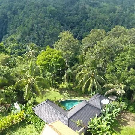 Amara Giri I Villa Ubud Eksteriør billede