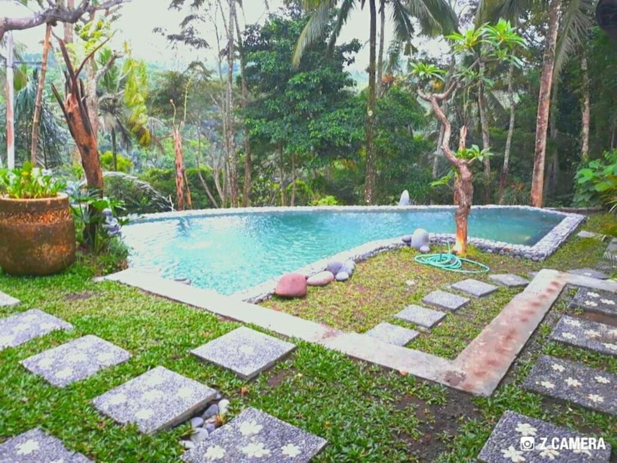 Amara Giri I Villa Ubud Eksteriør billede