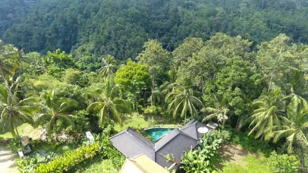 Amara Giri I Villa Ubud Eksteriør billede