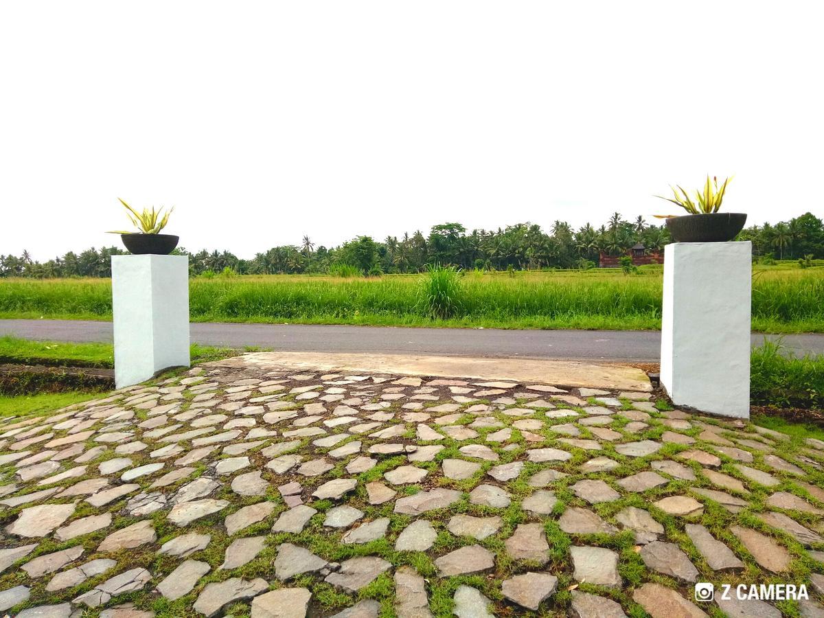 Amara Giri I Villa Ubud Eksteriør billede