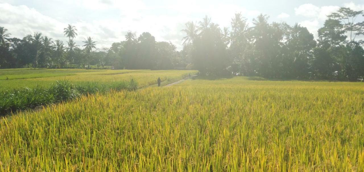 Amara Giri I Villa Ubud Eksteriør billede